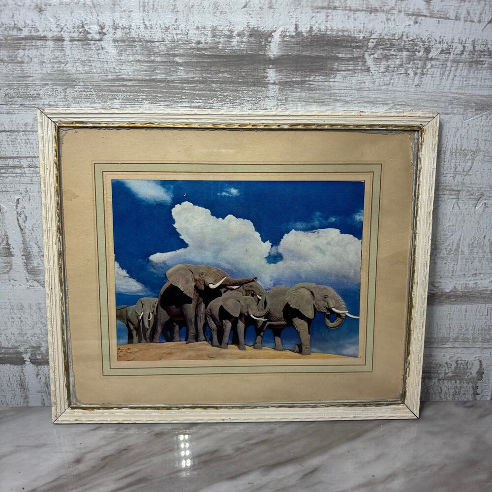 Vintage Framed Elephant Family Wildlife Print
